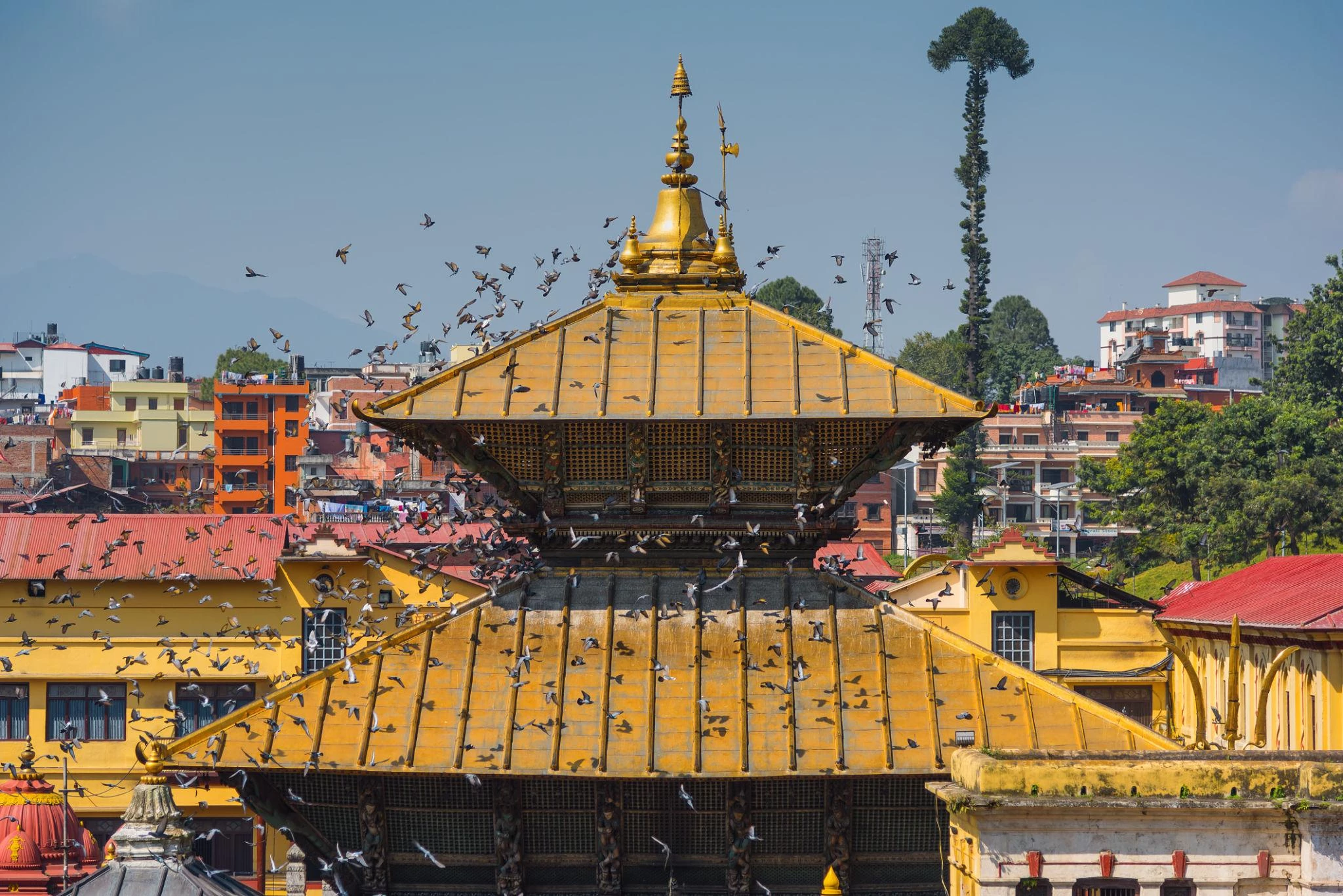 Pashupatinath and Muktinath Darshan Tour